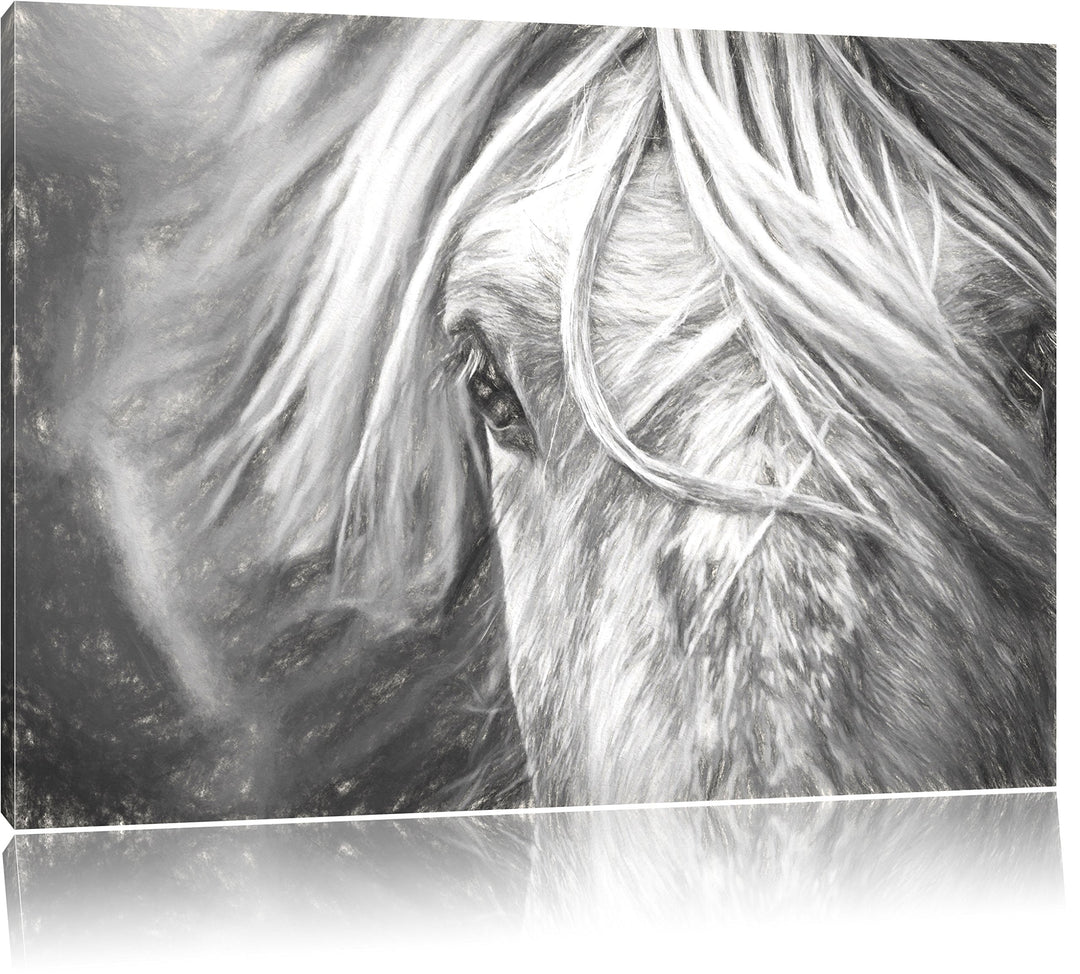 Pixxprint Islandpony in den Westfjorden als Leinwandbild/Grösse: 100x70 / Wandbild/Kunstdruck/fertig