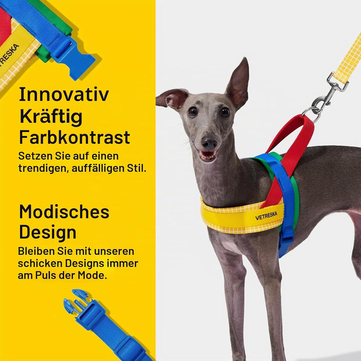 VETRESKA No Pull Hundegeschirr für kleine Hunde, Easy Walk Hundegeschirr und Leine Set, Welpengeschi