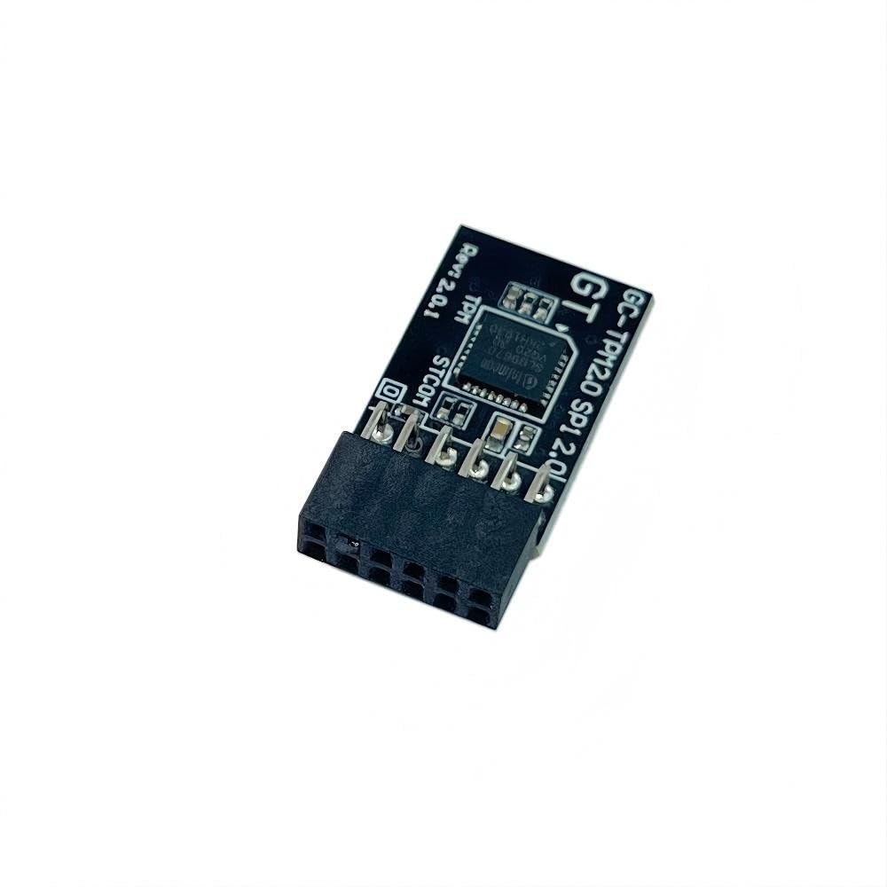 JINTAI 12-Pin-Modul TPM SPI 12-Pin-Modul für Gigabyte-Motherboard Z390 M Gaming Z490M (rev. 1.0) Z49