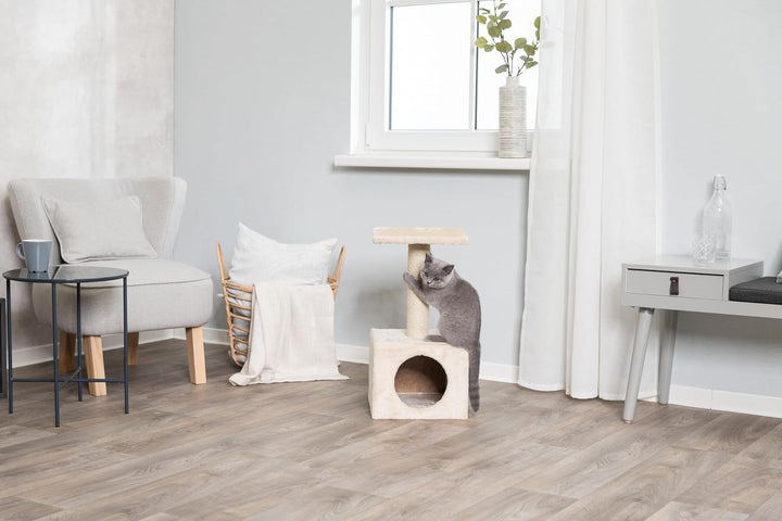 Trixie 43351 Kratzbaum Zamora, 60 cm, beige Zamora, Kätzchenbaum, beige, Zamora, Kätzchenbaum, beige