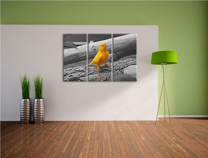 kleiner wachsamer Kanarienvogel schwarz/weiss Deluxe 3-Teiler Leinwandbild 120x80 Bild auf Leinwand,