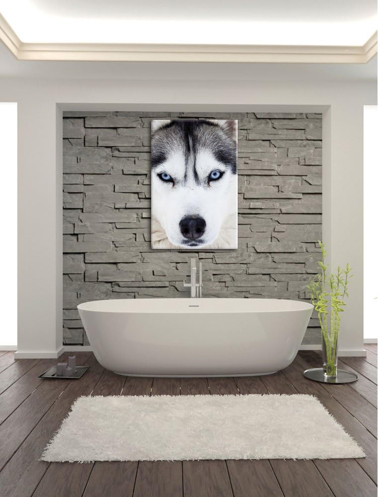 Pixxprint Husky, Format: 100x70 auf Leinwand, XXL riesige Bilder fertig gerahmt mit Keilrahmen, Kuns