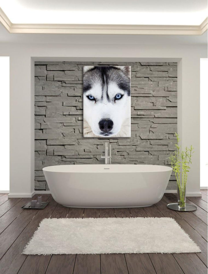 Pixxprint Husky, Format: 100x70 auf Leinwand, XXL riesige Bilder fertig gerahmt mit Keilrahmen, Kuns