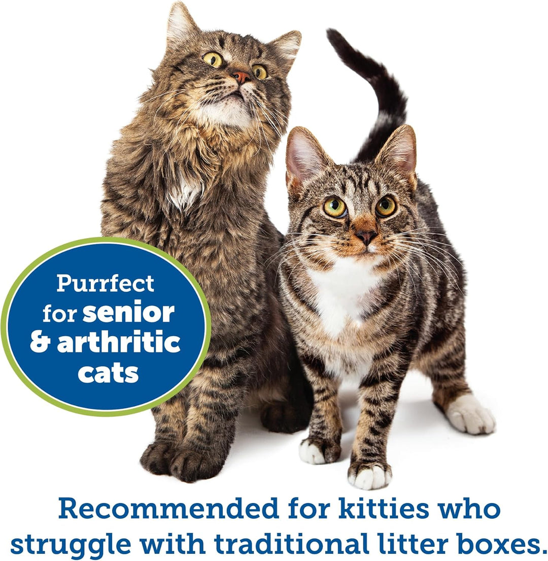 Kitty Go Here Katzentoilette Senior, 61 x 50,8 x 12,7 cm, Blau, Blau Large (1 Pack)
