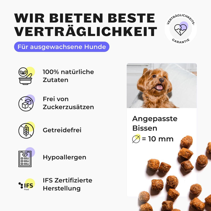 HEY HOLY – Marvelous Minis Trockenfutter für ausgewachsene Hunde mit 40% Forelle – 1er Pack (7kg) –