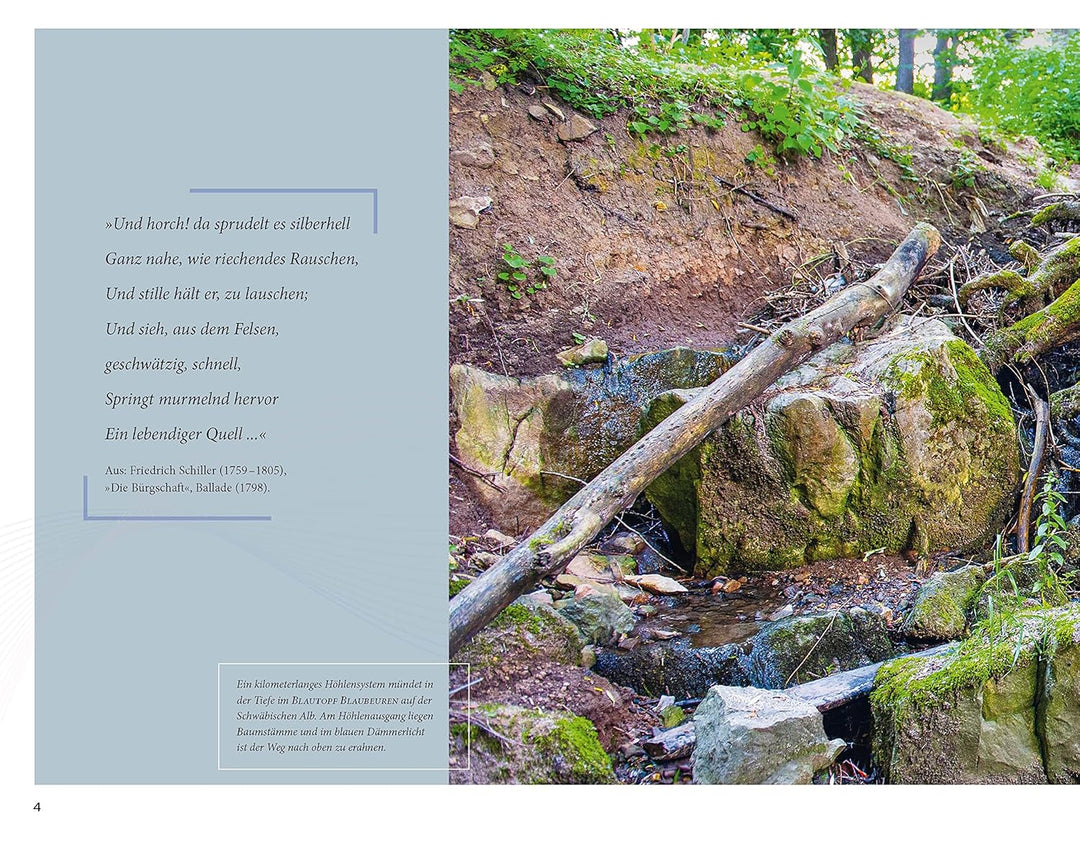 Die Welt der Süsswasserquellen: Deutschlands faszinierende Naturdenkmale, Gebundenes Buch