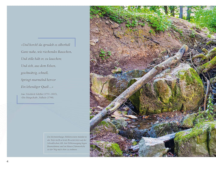 Die Welt der Süsswasserquellen: Deutschlands faszinierende Naturdenkmale, Gebundenes Buch