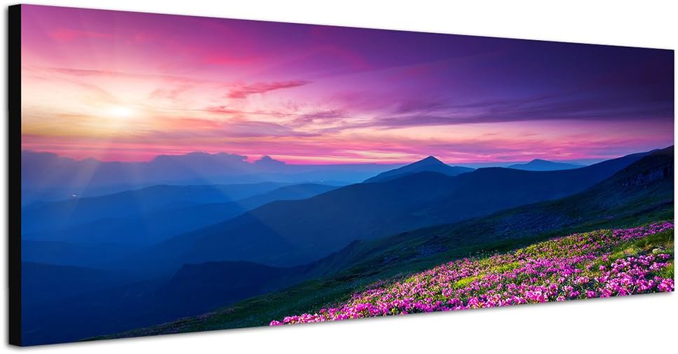 Paul Sinus Art Panoramabild auf Leinwand und Keilrahmen 150x50cm Ukraine Blumen Wiese Berge Sonnenun