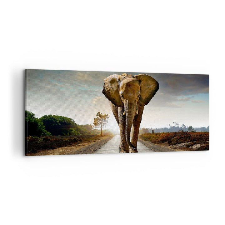 Panorama Bilder auf Leinwand 100x40cm Leinwandbild Elefant Strasse Landschaft Gross Wanddeko Bild Sc