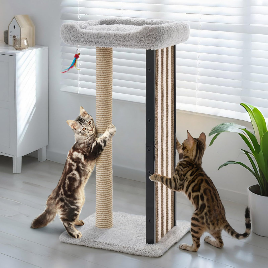 Veehoo Kratzbaum Klein Katzen Stabil, 90 cm Katzenkratzbaum Hoch mit Kratzbrett und Hängespielzeug,