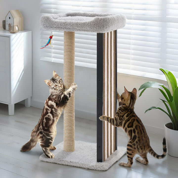 Veehoo Kratzbaum Klein Katzen Stabil, 90 cm Katzenkratzbaum Hoch mit Kratzbrett und Hängespielzeug,