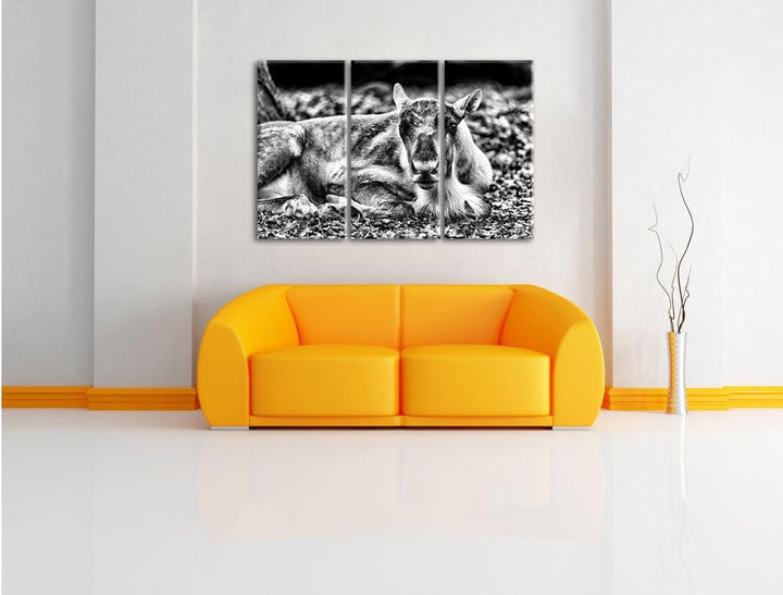 Pixxprint Monocrome, junger Elch 3-Teiler Leinwandbild 120x80 Bild auf Leinwand