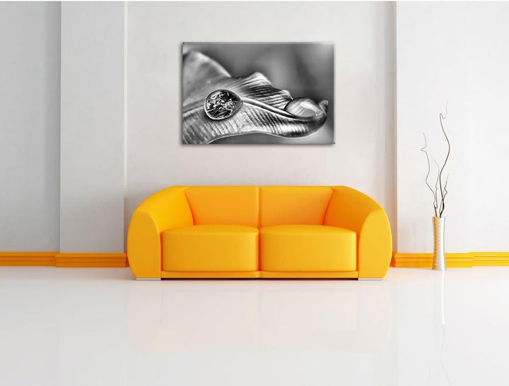 Pixxprint Tautropfen Erde als Leinwandbild/Grösse: 100x70 / Wandbild/Kunstdruck/fertig bespannt, 100