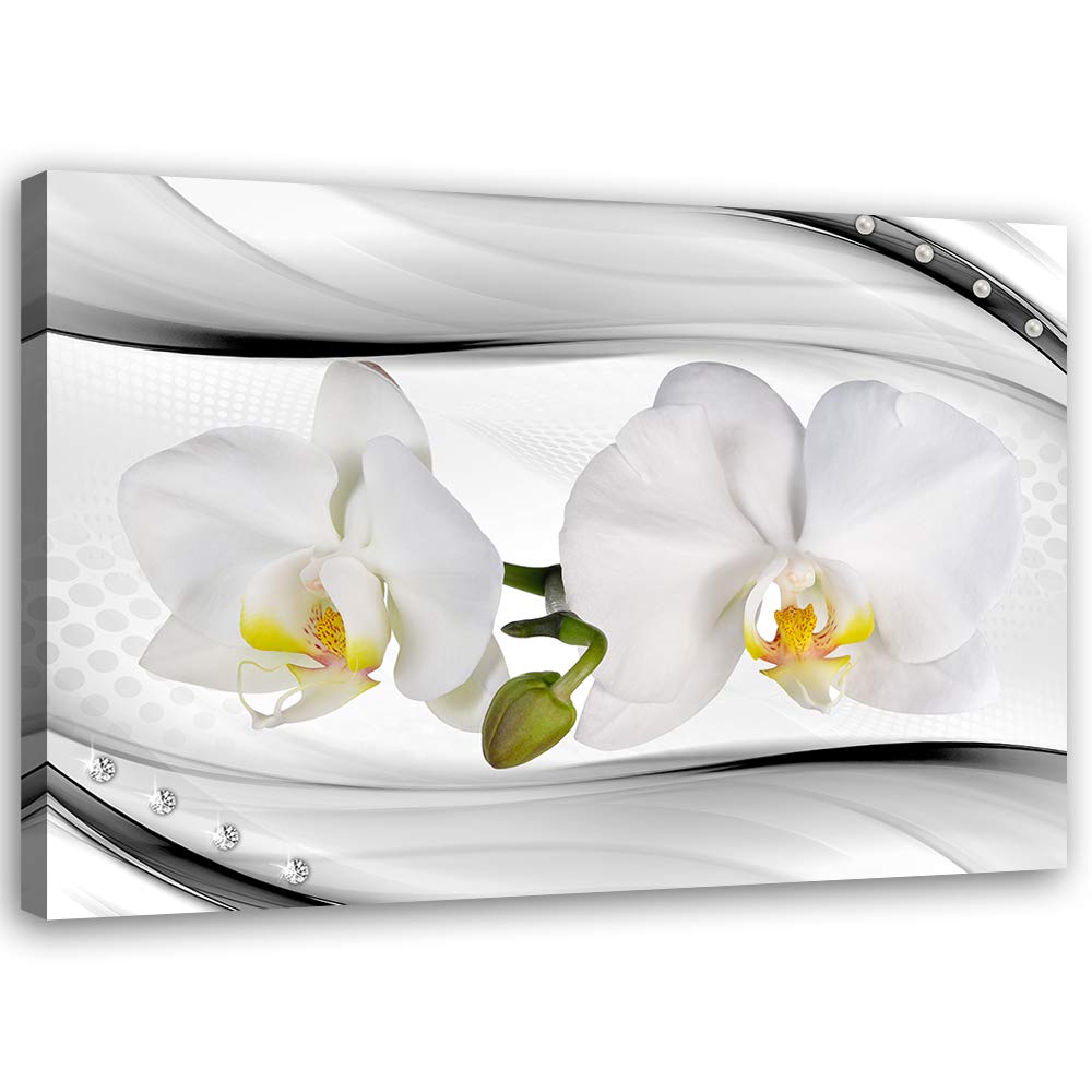 Feeby Leinwandbild Blumen Bild Kunstdruck Orchideen Weiss 70x50 cm Leinwandbild 70x50 cm Weiss_a, Le