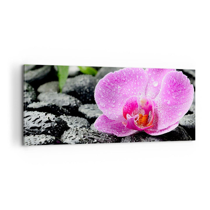 Panorama Bilder auf Leinwand 100x40cm Leinwandbild Asien bambus schönheit kultur Gross Wanddeko Bild