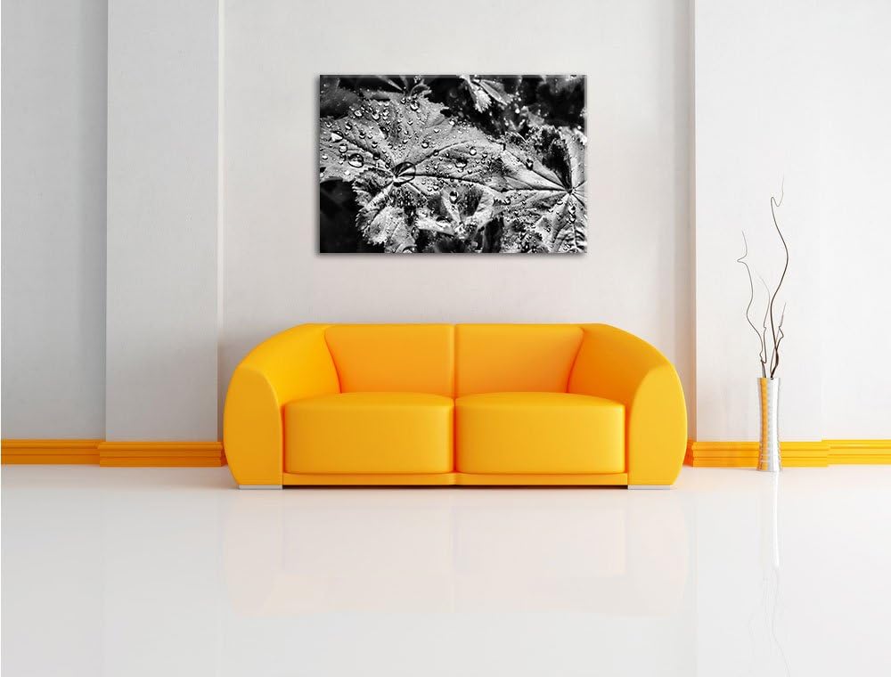 Pixxprint kleine Tropfen auf Blatt als Leinwandbild/Grösse: 100x70 / Wandbild/Kunstdruck/fertig besp
