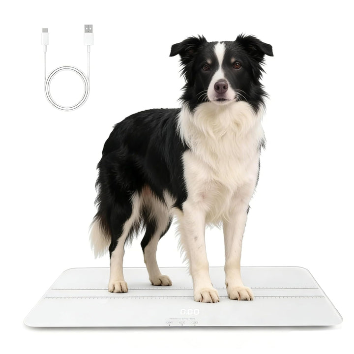 Digitale Haustierwaage für Hunde und Katzen, grosse Hundewaage, max. 220 Pfund, wiederaufladbare Ver