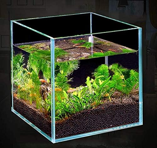 BEGONDIS Würfel Aquarium 20x20x20CM Becken Glasbecken 20*20*20CM, 20*20*20CM