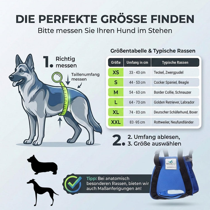 Tragehilfe Hund hinten - Ideal für ältere, kranke oder operierte Hunde - Diese Treppenhilfe für Hund
