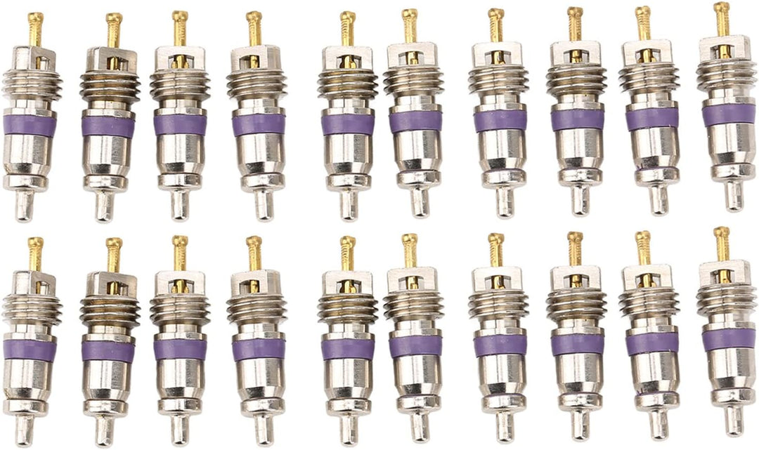 VOBOR 20 Stücke Auto Klimaanlage Ventileinsatz, Auto Klima Ventil Kern Ersatz für Mercedes Benz