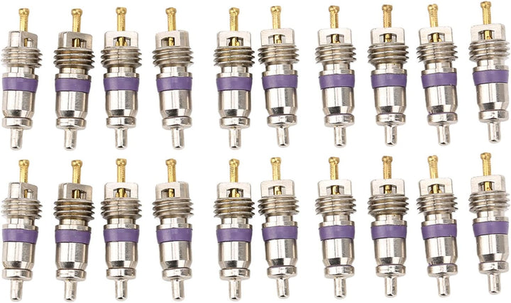 VOBOR 20 Stücke Auto Klimaanlage Ventileinsatz, Auto Klima Ventil Kern Ersatz für Mercedes Benz