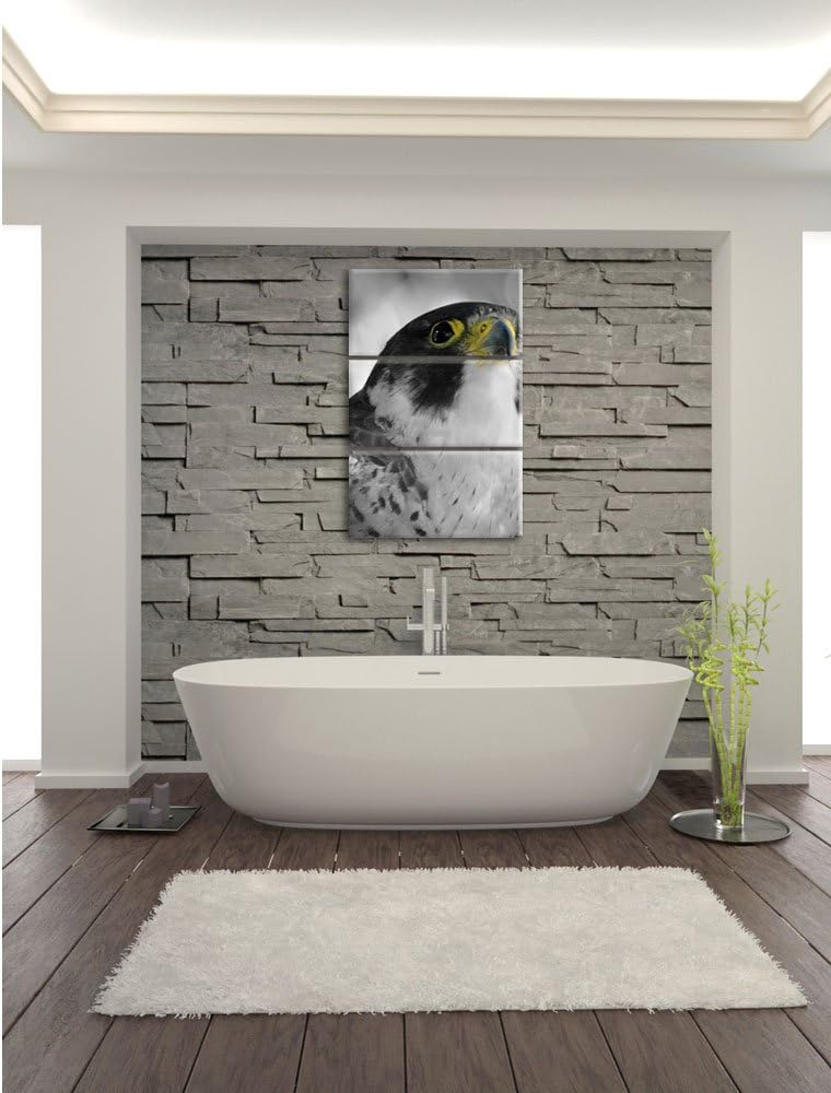 Pixxprint schöner anmutiger Adler / 3-Teilig/Gesamtmass 120cm Leinwandbild bespannt auf Holzrahmen/W