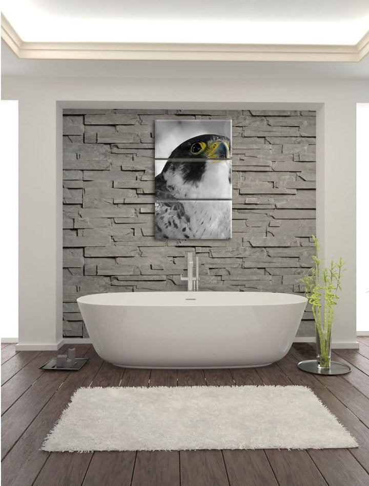 Pixxprint schöner anmutiger Adler / 3-Teilig/Gesamtmass 120cm Leinwandbild bespannt auf Holzrahmen/W