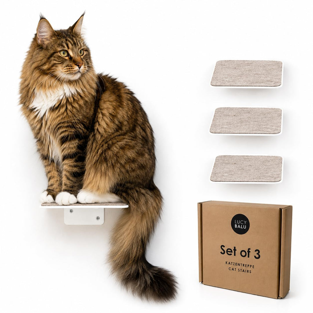 LucyBalu® Steps XL Katzentreppe Wand Innen &amp; Aussen 3er Set | Katzen Kletterwand | Wandpark für Katz