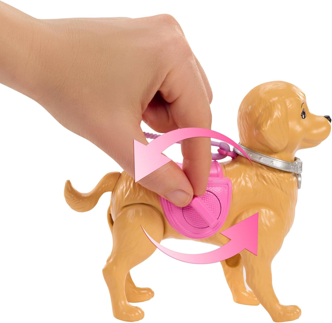 Barbie Hundespaziergang Spielset, enthält einen Spielzeughund, der gehen und Häufchen Brooklyn-Puppe