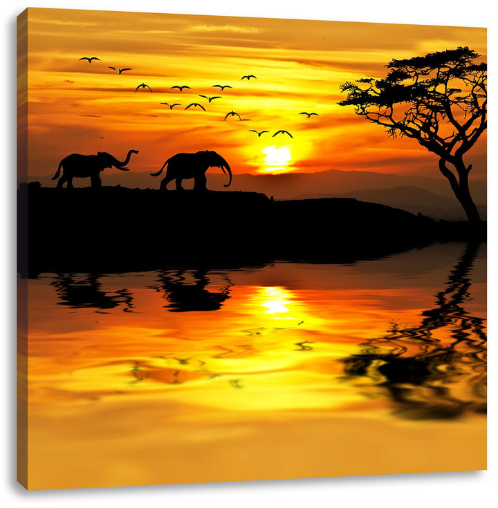 Pixxprint Elefanten in Afrikanischer Steppe, Format: 70x70 auf Leinwand, 70x70