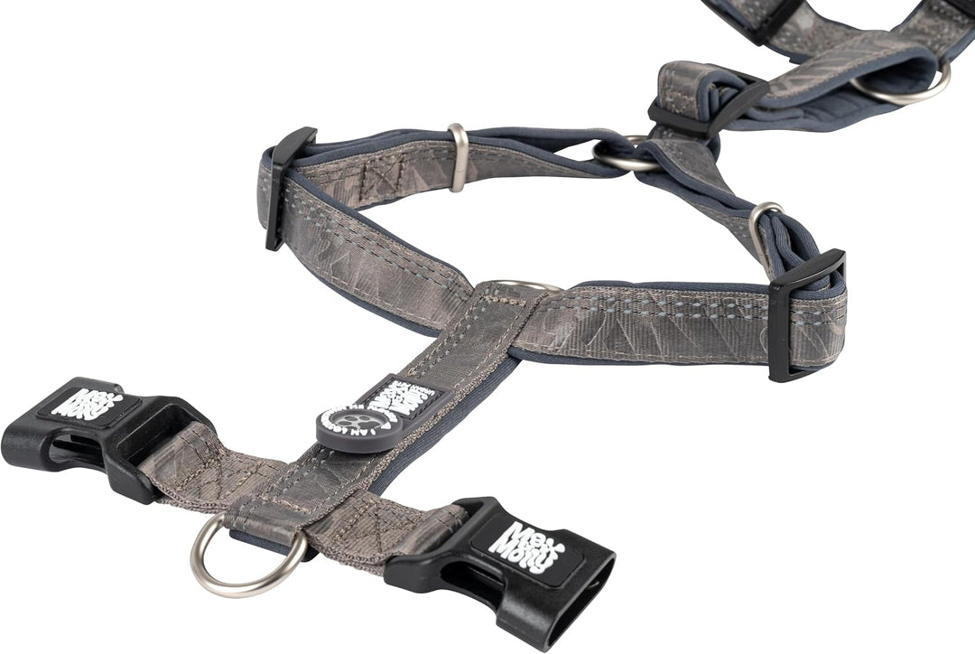 Max &amp; Molly Hundegeschirr Matrix 2.0 Stone/XS in H-Form, für Hunde mit Gotcha! Smart ID, Geschirr Hu