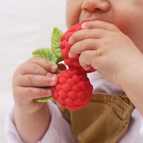 Oli & Carol Baby-Beissring aus Naturkautschuk - Babygeschenk 0 3 6 Monate 1 Jahr - Valery the Raspbe