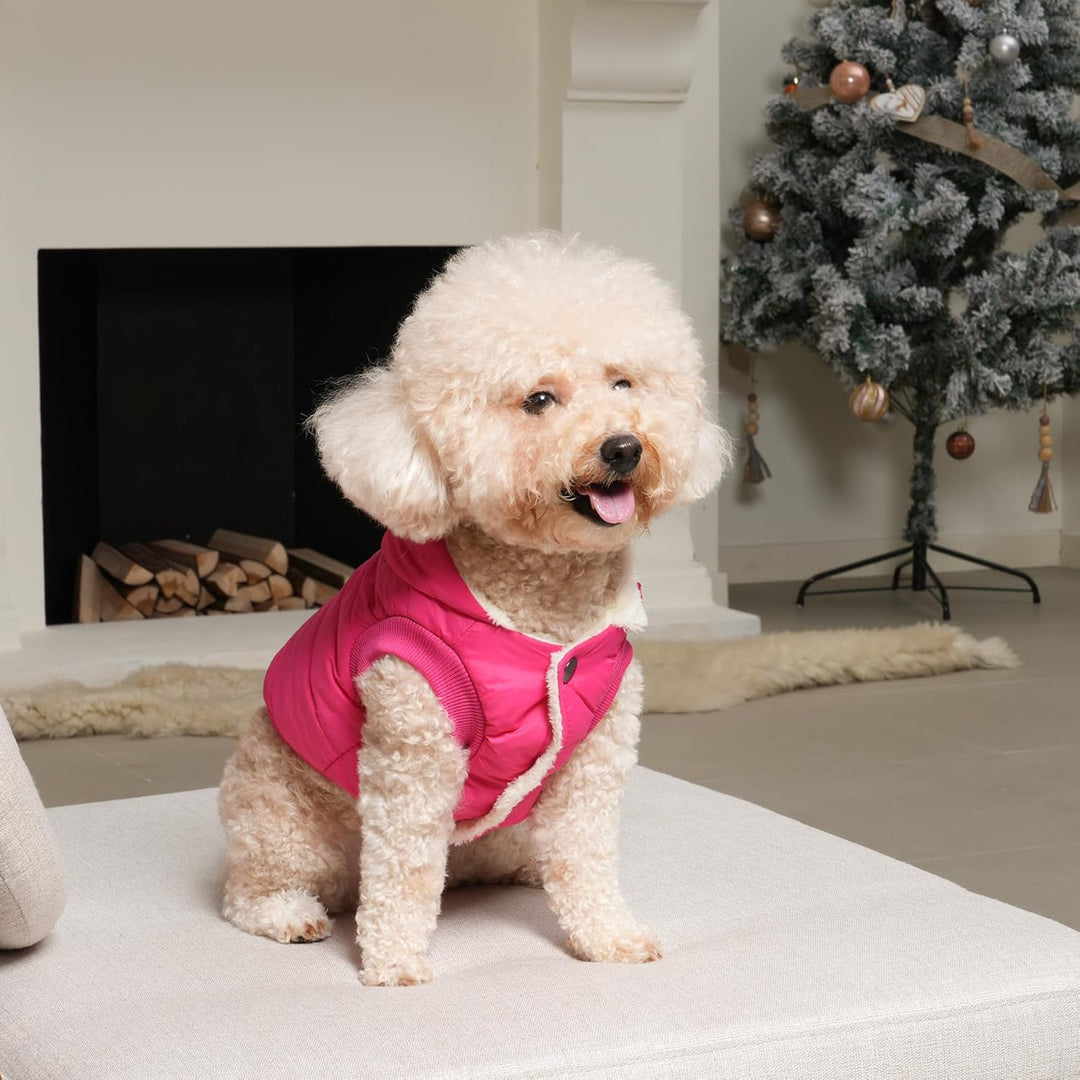 Hunde-Kapuzenpullover mit Fleece-Futter, extra warm, Grösse S, Rosa, Small (Pack of 1) rose