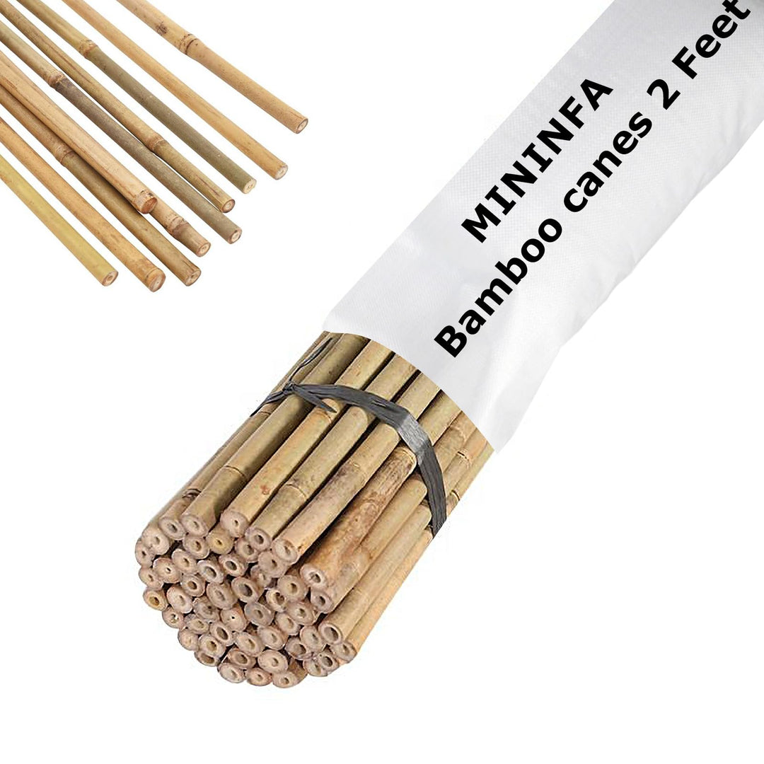 Mininfa Natürliche Bambusstäbe 60CM,50 Stück ，Umweltfreundliche Bambusstange, Bambusstangen, Pflanze
