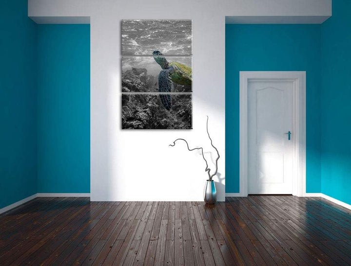 Schildkröte und Korallen im Ozean schwarz/weiss 3-Teiler Leinwandbild 120x80 Bild auf Leinwand, XXL