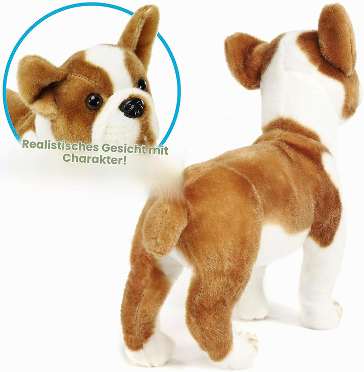 Bobby The Boston Terrier Boxer - 14 Inch Stuffed Animal Plush