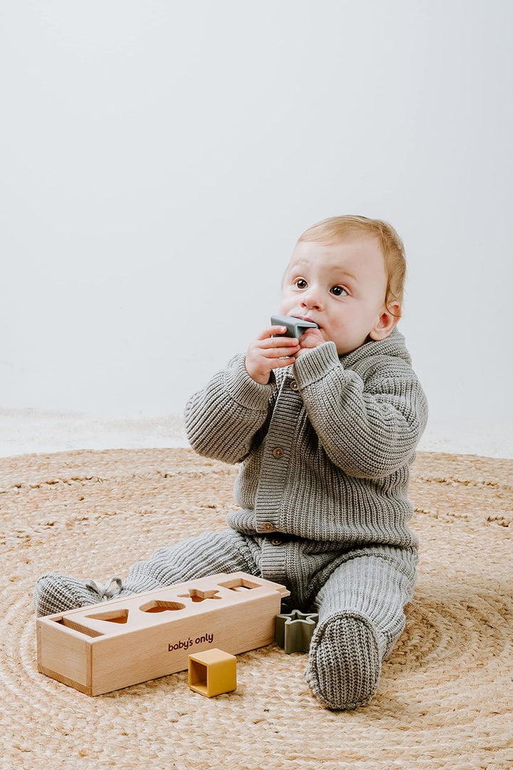 BO Baby's Only - Puzzle-Box Sortierspiel Earth - Motorikspielzeug Baby - Bunte Montessori Holzspielz