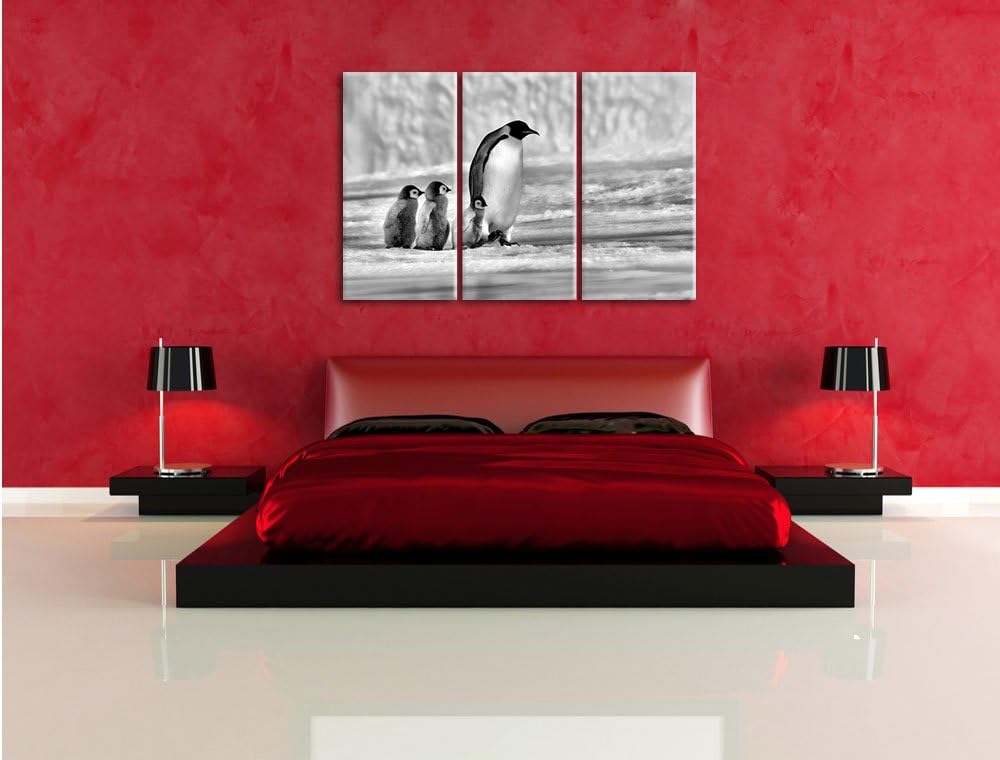 Pixxprint Kaiserpinguine im Schnee als Leinwandbild/Grösse: 3 Teilig (120x80) cm/Wandbild/Kunstdruck