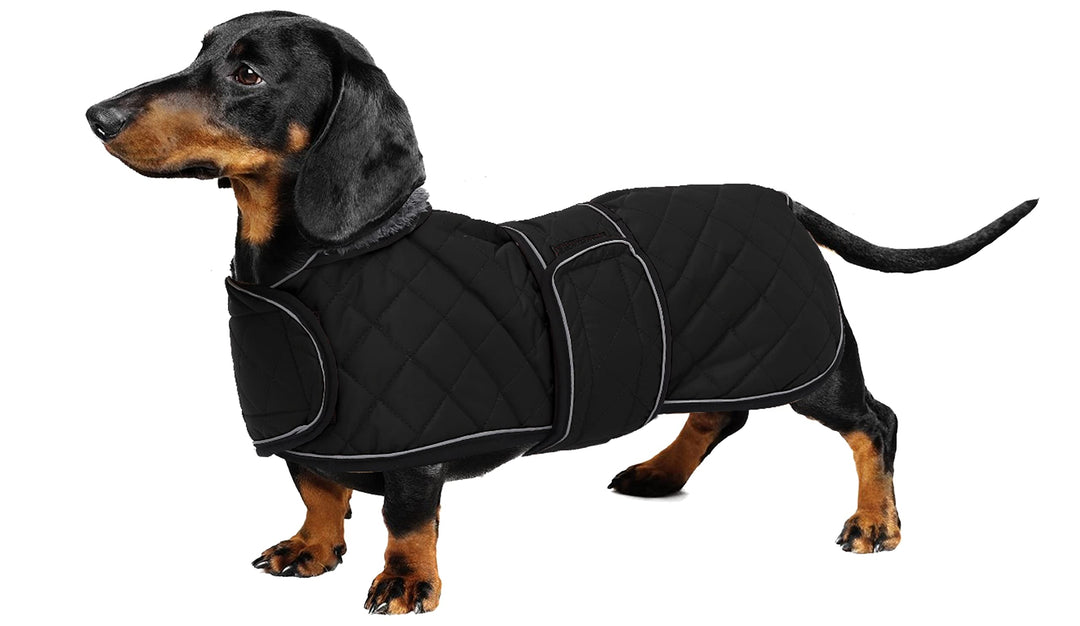 Geyecete - Warmer wintermantel für dackel Hunde,Hunde Winterjacken mit plüschfutter,Outdoor jacken m