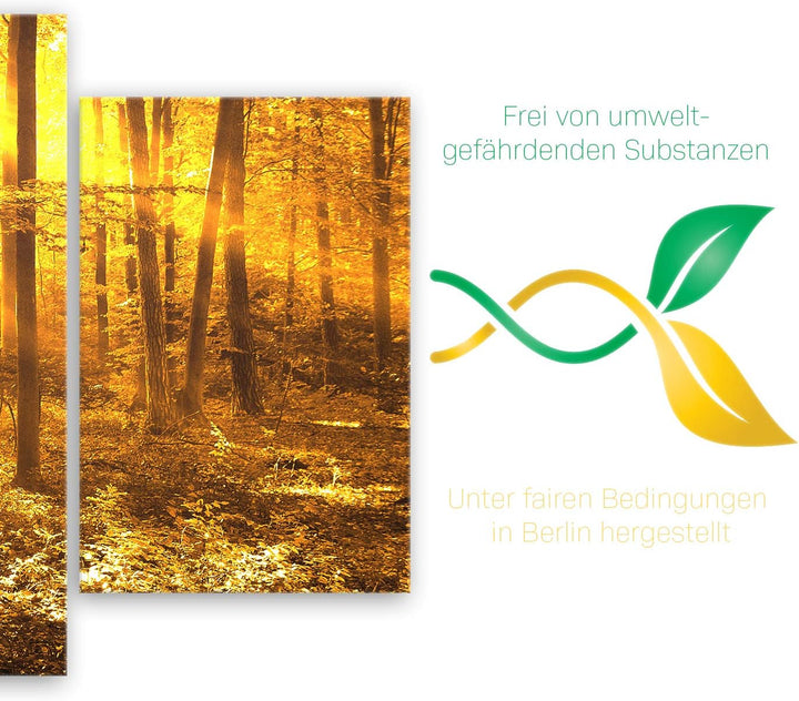 ge Bildet Bild auf Leinwand | Landschaftsbilder - beautiful morning in the forest G in 100x50 cm meh
