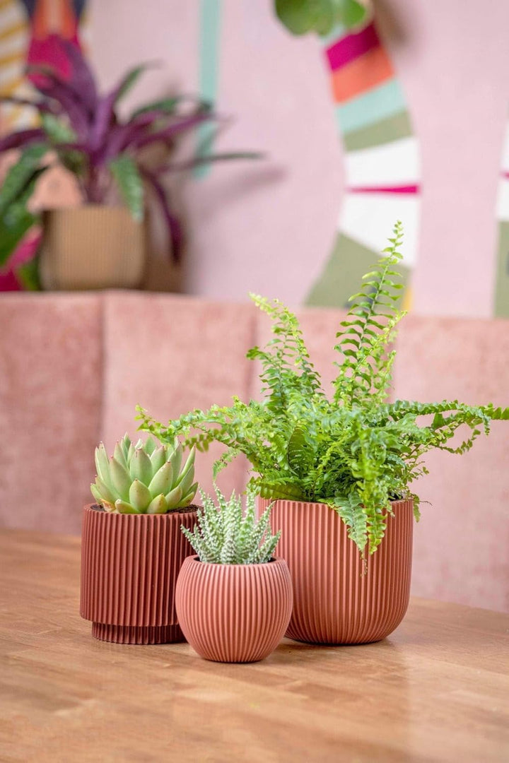 Capi Europe - Gefäss Kugel Groove Colours - 10x9 - Beige - Öffnung Ø7 - Blumentopf für drinnen - 5 J