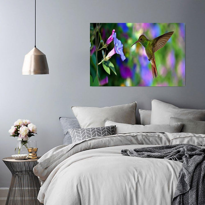 Feeby Frames, Leinwandbild, Bilder, Wand Bild, Wandbilder, Kunstdruck 50x70cm, VOGEL, KOLIBRI, TIERE