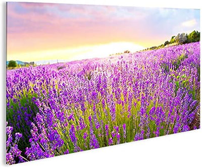 islandburner Bild Bilder auf Leinwand Lavendelfeld 1p XXL Poster Leinwandbild Wandbild art up your l