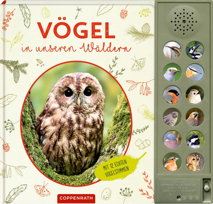 Vögel in unseren Wäldern: Mit 12 echten Tierstimmen: Soundbuch mit 12 bestechend klaren Vogelstimmen