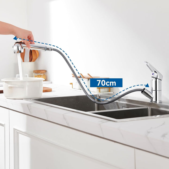 Auralum Einhebel Küchenarmatur mit 2 Strahlarten Geschirrbrause Wasserhahn Küche ausziehbar Spültisc