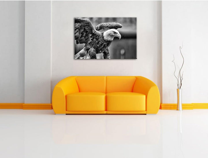 Monocrome, Adler, Format: 100x70 auf Leinwand, XXL riesige Bilder fertig gerahmt mit Keilrahmen, Kun