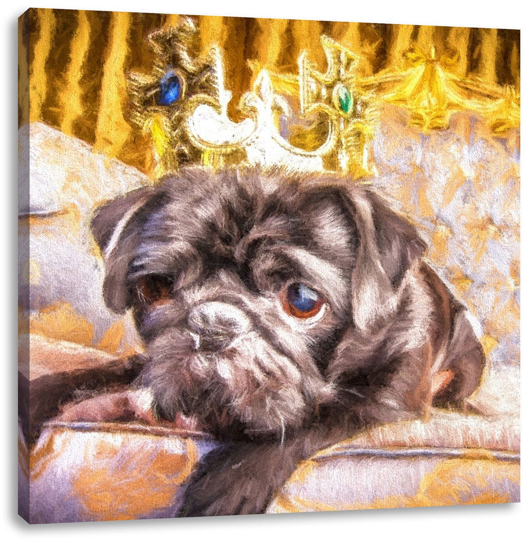 Mops mit Krone auf Thron, Format: 70x70 auf Leinwand, XXL riesige Bilder fertig gerahmt mit Keilrahm