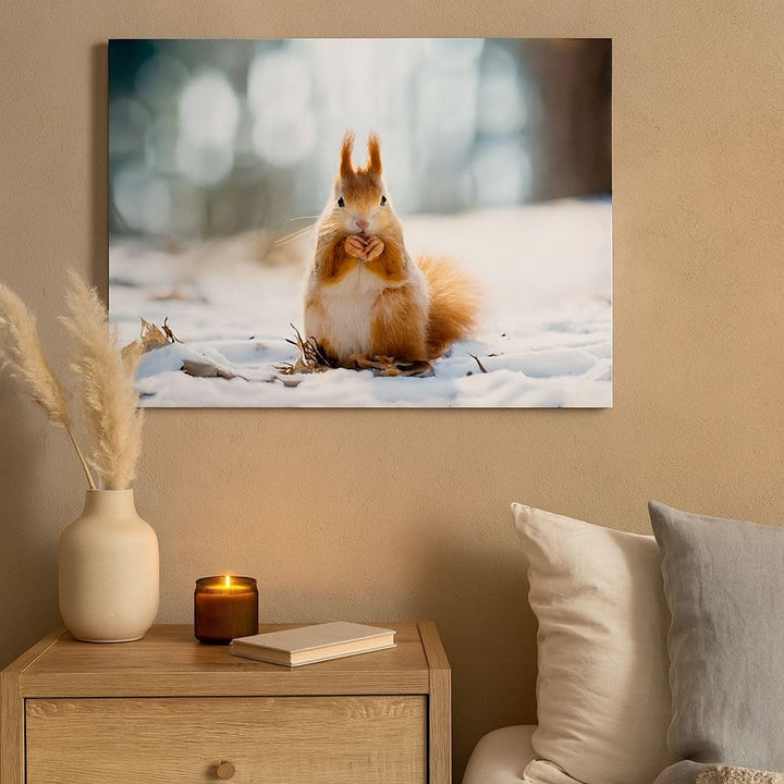 Bilder auf Leinwand Eichhörnchen Winter Schnee Essen Leinwandbild 70x50cm Wandbilder Dekoration Wohn