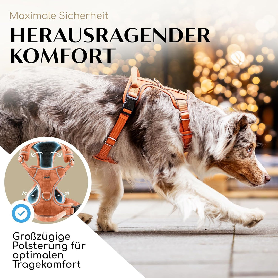 FREUDENTIER Hundegeschirr mit Mesh-Polsterung - Höchster Komfort, bombenfester Sitz &amp; maximale Siche