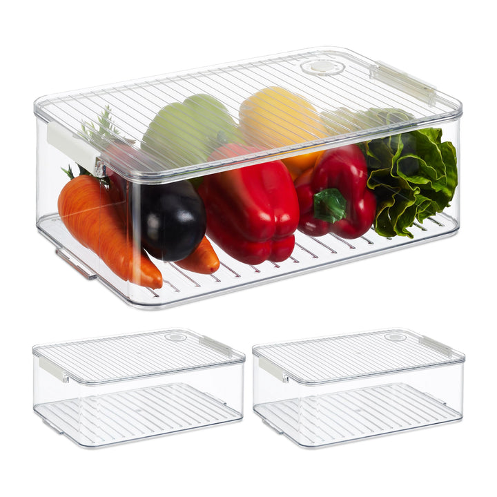 Relaxdays Kühlschrank Organizer, 3er Set, Kühlschrankeinsätze mit Deckel & Datum, HxBxT: 10,5 x 21 x